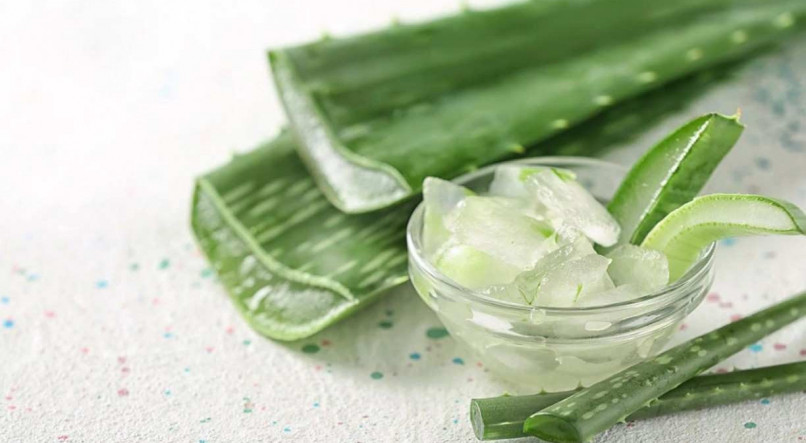 Aloe Vera: Benefícios para o cabelo