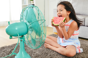 Dicas para Diminuir o Calor