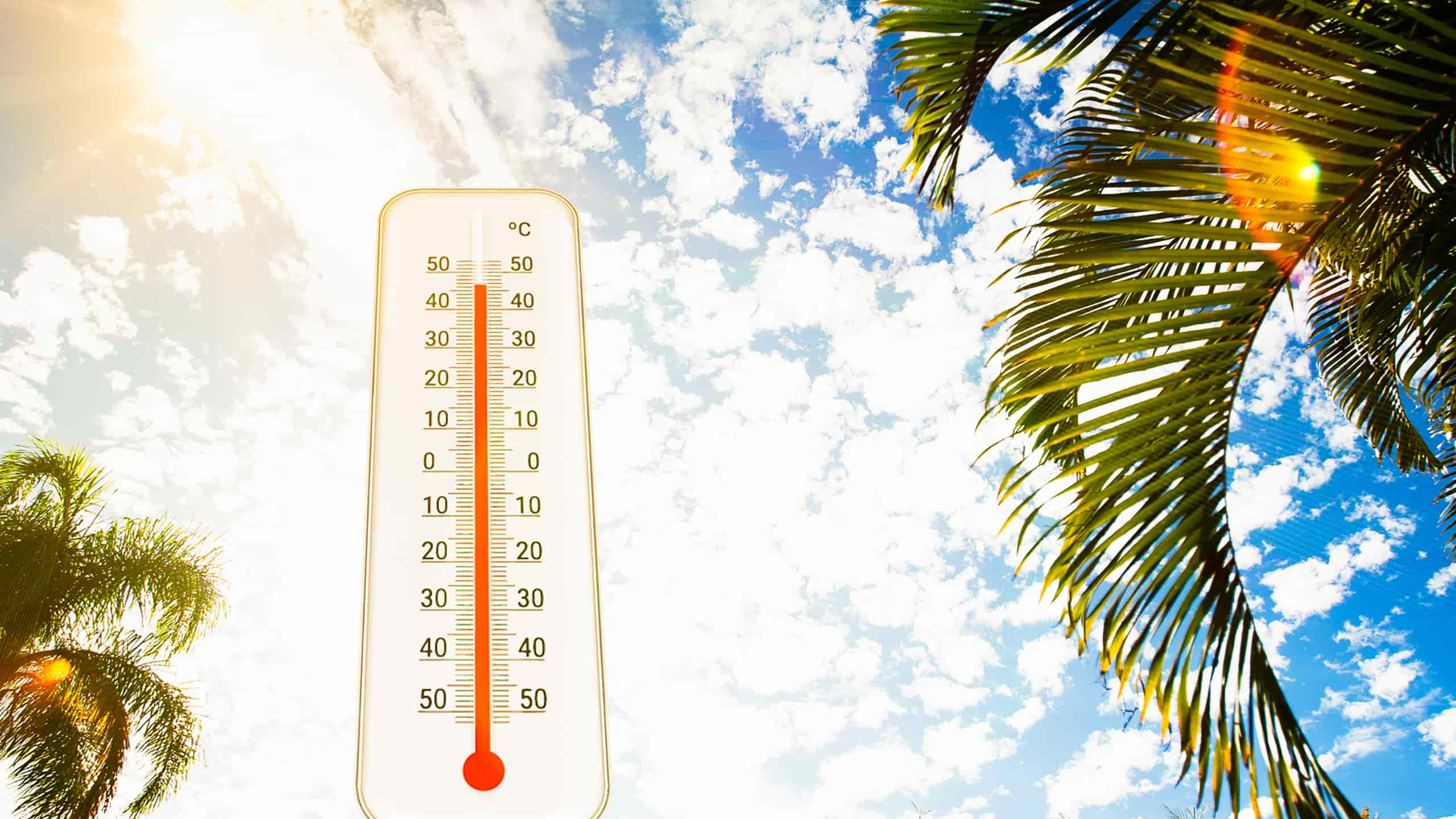 Dicas para Diminuir o Calor