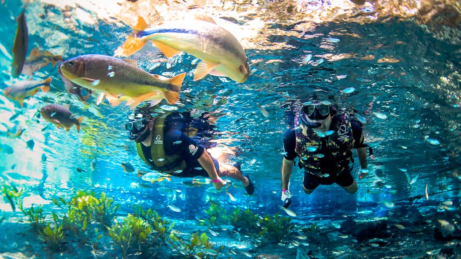 Lugares para viajar no Brasil