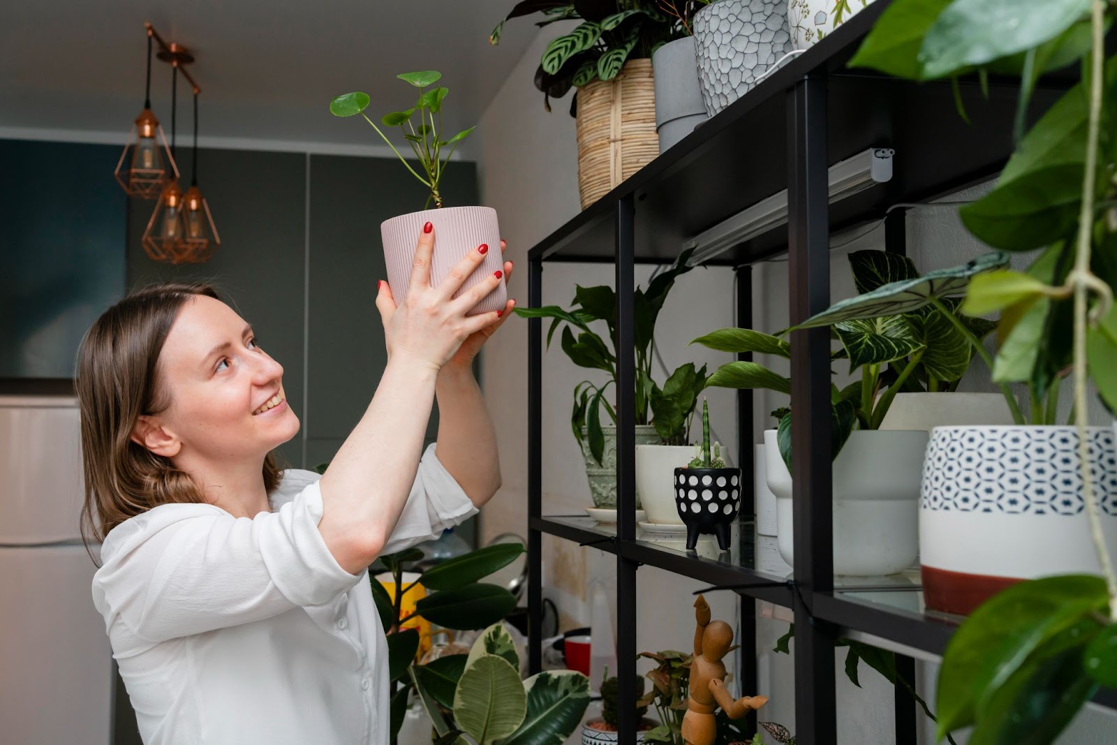 Decoração com Plantas em 2024