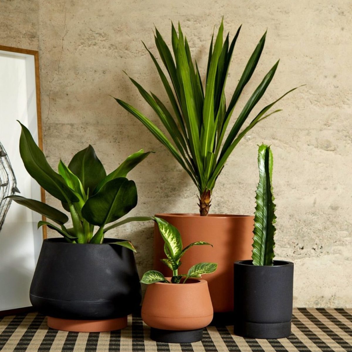 Decoração com Plantas em 2024