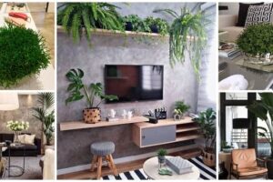 Decoração com Plantas em 2024