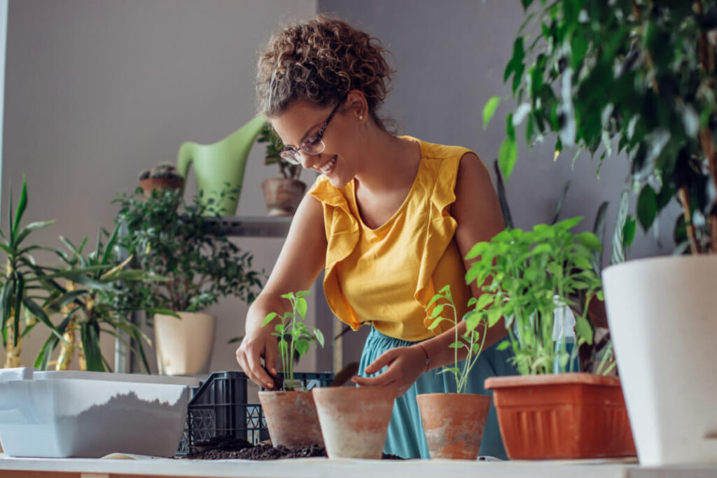 Cuidados com Plantas: dicas essenciais para jardineiros iniciantes