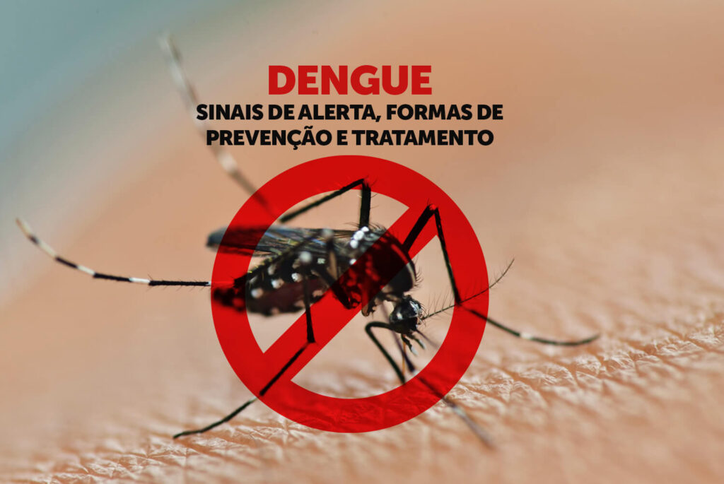 Entendendo a Dengue: sintomas, tratamentos e prevenção