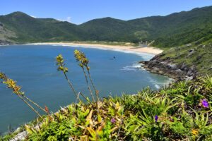 Praia da Lagoinha do Leste Florianópolis SC