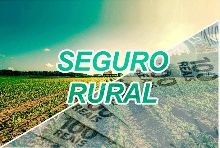 Seguro Rural no Brasil 2024